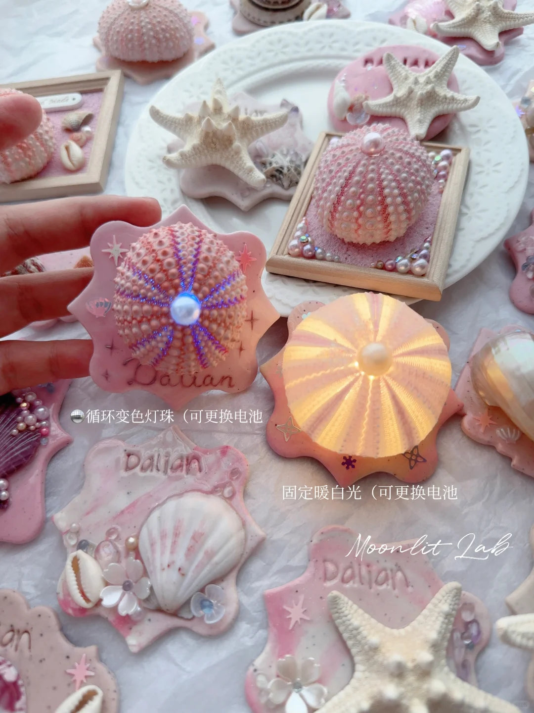 Hand-Painted Glazed Shell Fridge Magnet