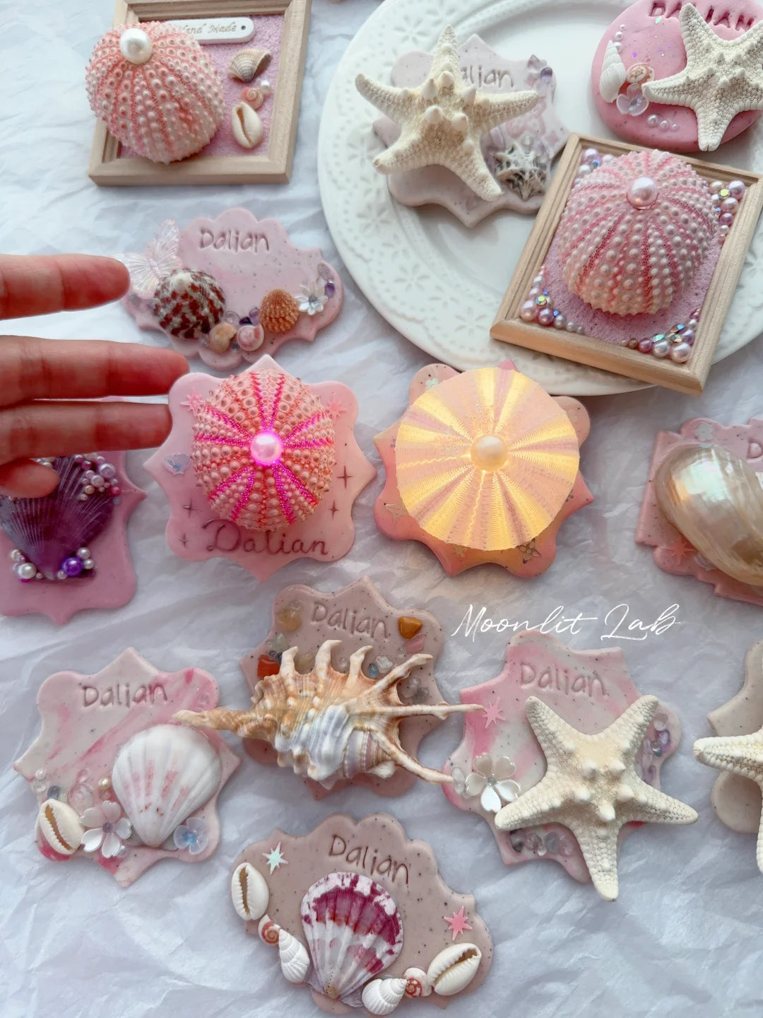 Hand-Painted Glazed Shell Fridge Magnet