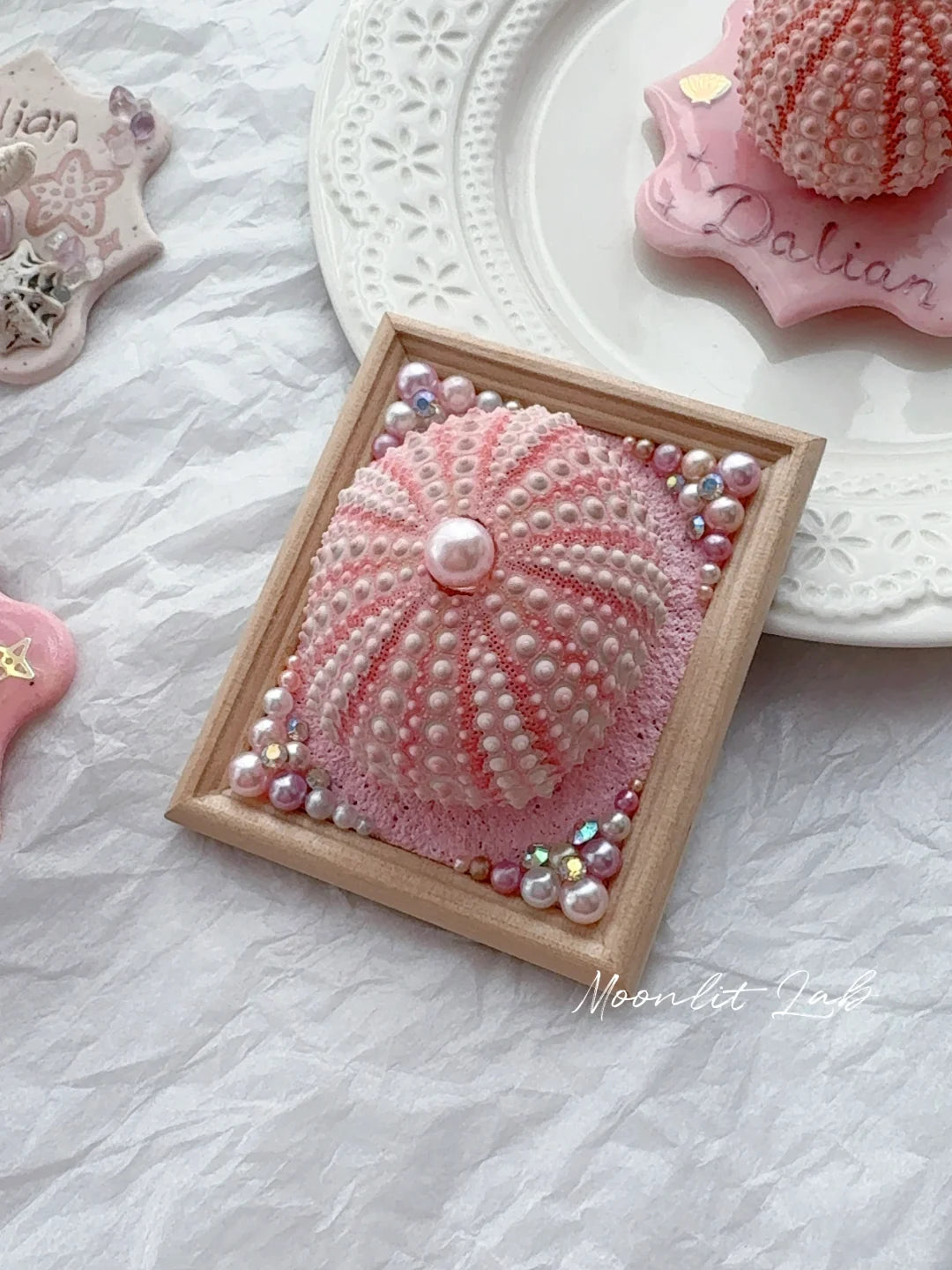 Hand-Painted Glazed Shell Fridge Magnet